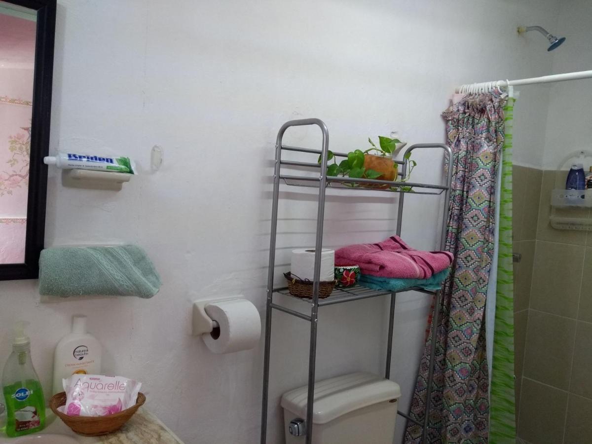 メリダCasa Mestizaアパートメント エクステリア 写真